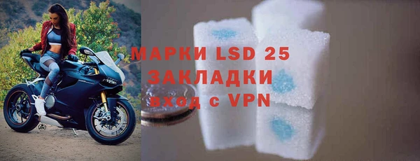 индика Баксан