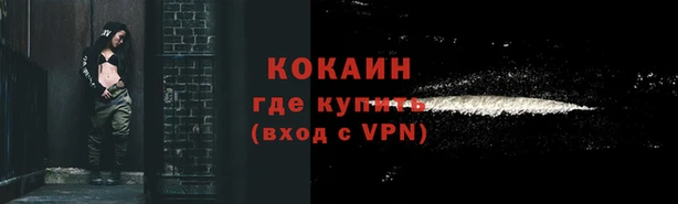 индика Сатка