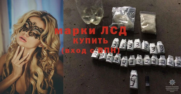 ГАЛЛЮЦИНОГЕННЫЕ ГРИБЫ Алзамай