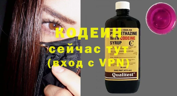 индика Баксан