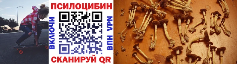 Галлюциногенные грибы Psilocybine cubensis  Петровск 