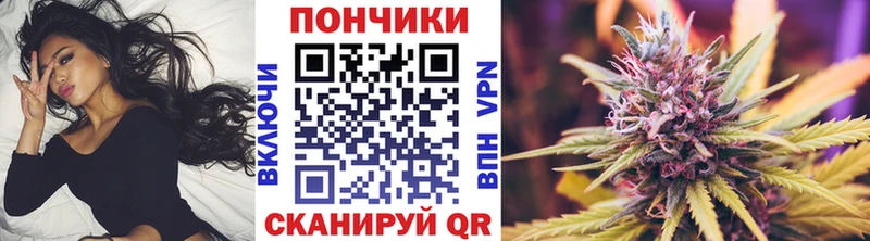 Бошки марихуана ГИДРОПОН  Петровск 
